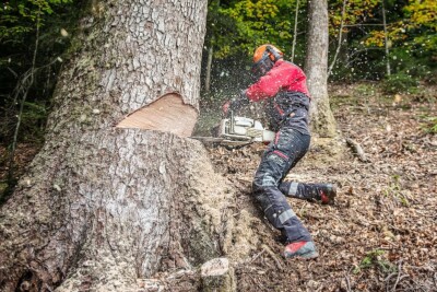 Forestier